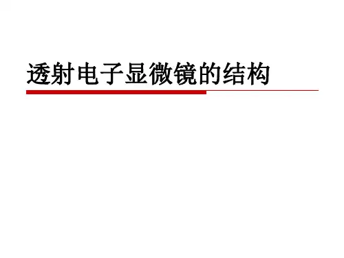 透射电镜