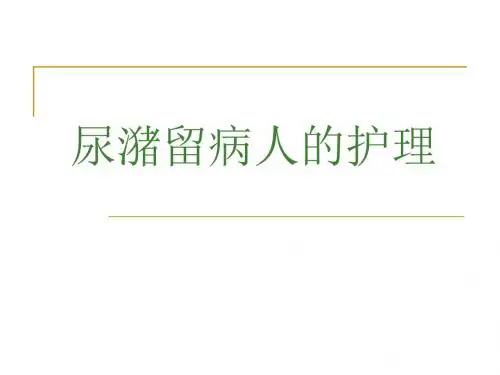 尿潴留病病人的护理 PPT课件