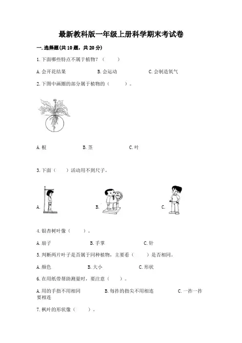 最新教科版一年级上册科学期末考试卷含答案(考试直接用)