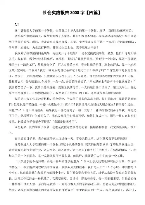 社会实践报告3000字【四篇】
