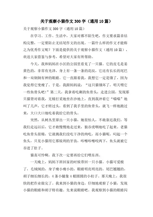 关于观察小猫作文300字(通用10篇)