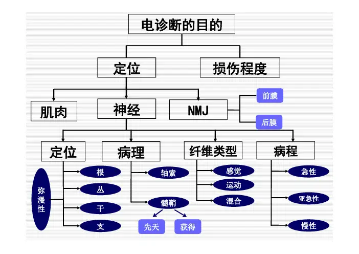 臂丛神经损害肌电图-2014