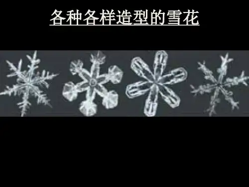 六年级下册科学课件1.3放大镜下的晶体教科版共44张PPT