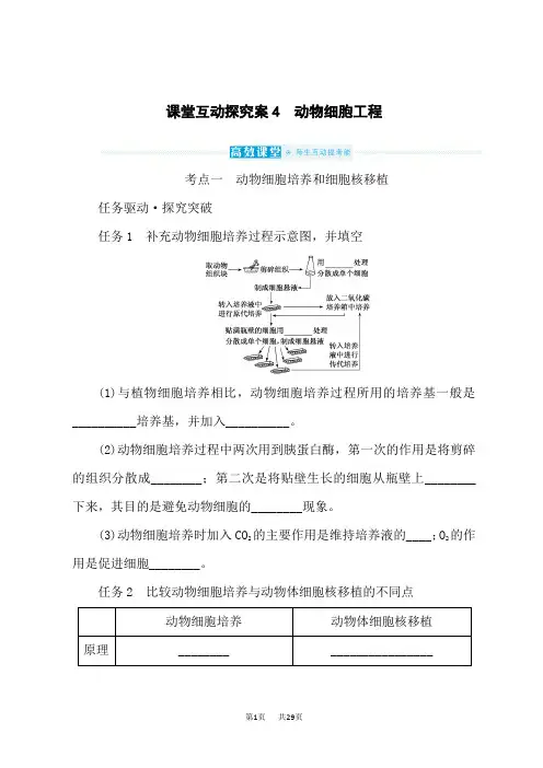 高考生物复习 课堂互动探究案4 动物细胞工程