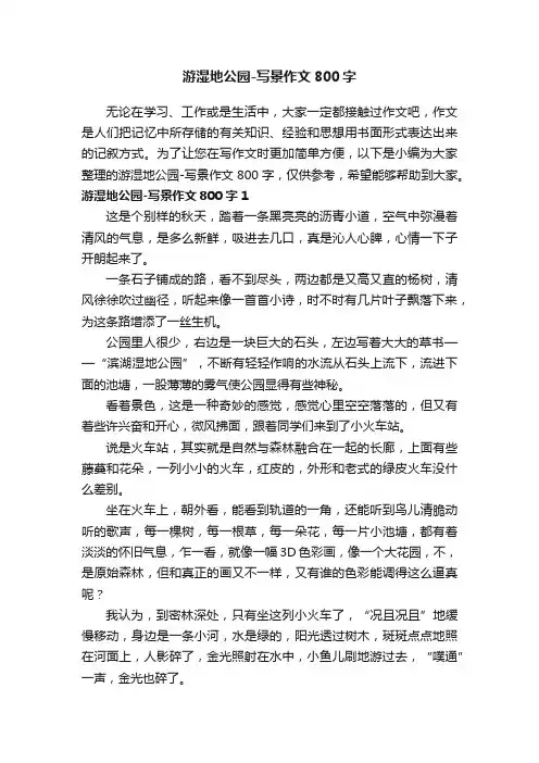 游湿地公园-写景作文800字