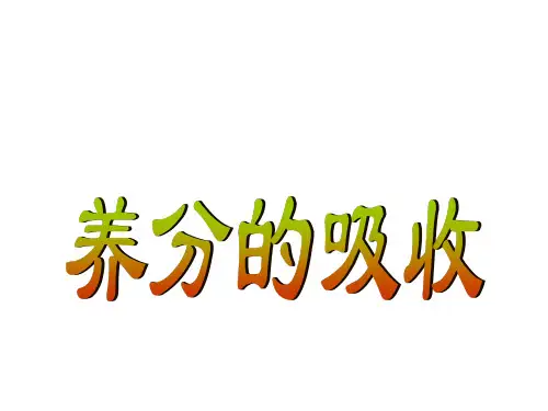 植物营养学课件- 养分的吸收