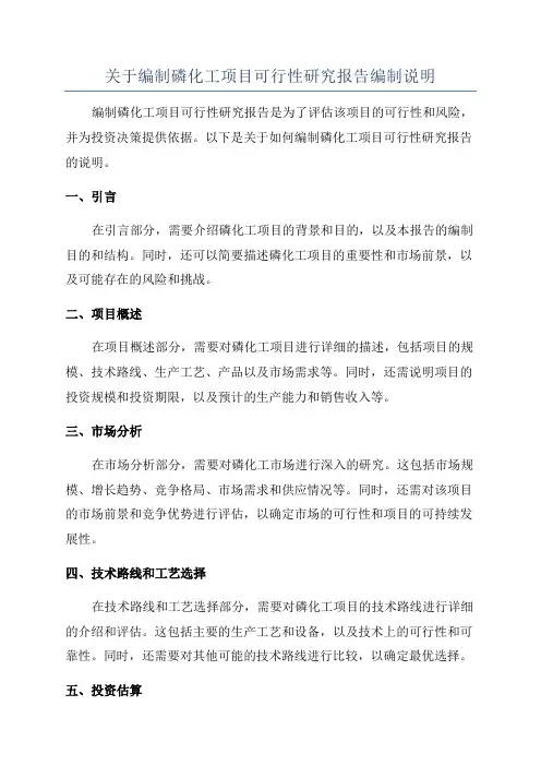 关于编制磷化工项目可行性研究报告编制说明