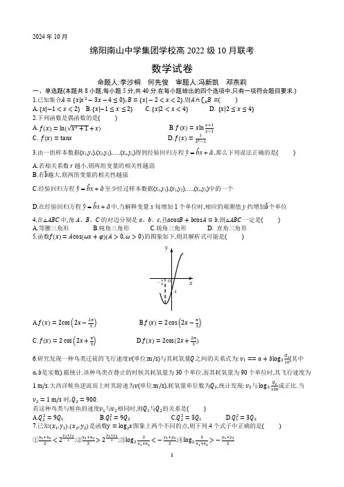 四川省绵阳市南山中学集团学校2024-2025学年高三上学期10月联考数学试题 含答案