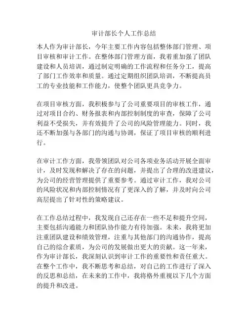审计部长个人工作总结