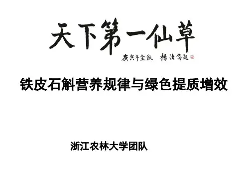 铁皮石斛种植技术和养分需求介绍-浙江农林大学