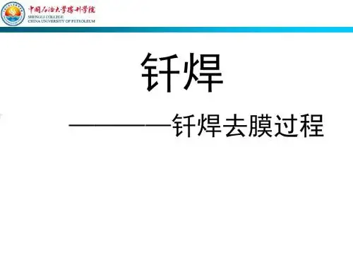 第3章 钎焊去膜方法
