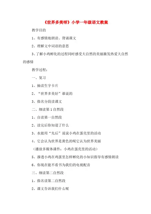 《世界多美呀》小学一年级语文教案