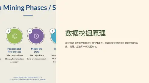 《数据挖掘原理》课件