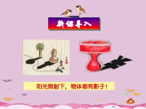 人教A版高中数学选修4-1 第一讲  四 直角三角形的射影定理 课件(共16张PPT)优质课件PPT
