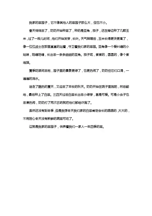 我家的菜园子五年级作文