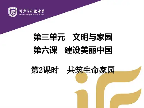 道德与法治九年级上册 6.2共筑生命家园 课件(共26张PPT)