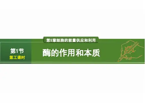 5.1.1 酶的作用和本质(教学课件)—高中生物人教版(2019)必修一