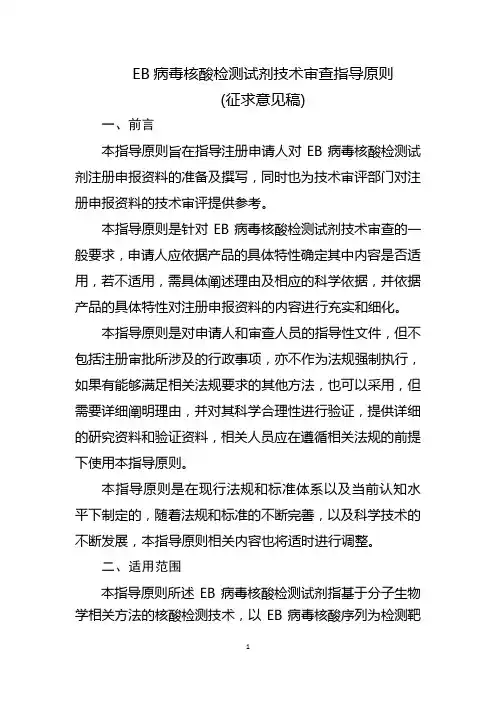 EB病毒核酸检测试剂技术审查指导原则