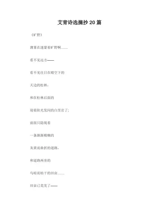 艾青诗选摘抄20篇