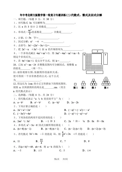 中考北师大版数学第一轮复习专题训练(二)代数式、整式及因式分解