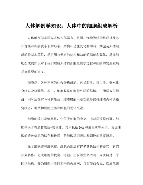 人体解剖学知识：人体中的细胞组成解析