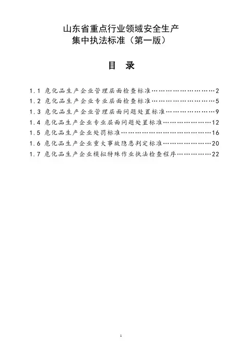 山东省安全检查标准