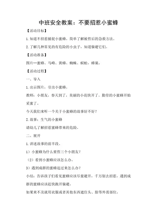 不要招惹小蜜蜂中班安全教案