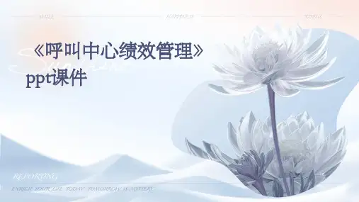 《呼叫中心绩效管理》课件