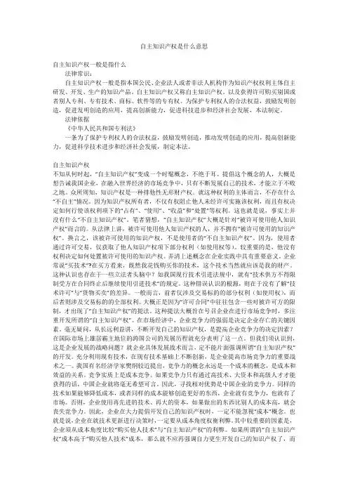 自主知识产权是什么意思
