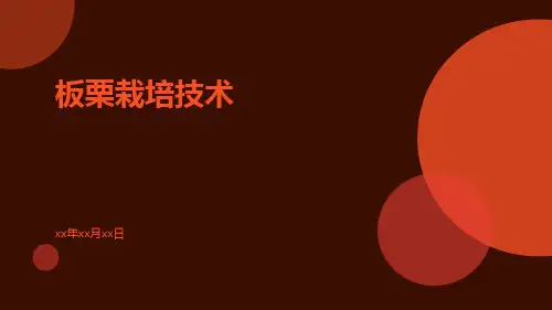 板栗栽培技术