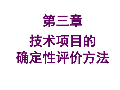 第三章 技术项目的确定性评价方法