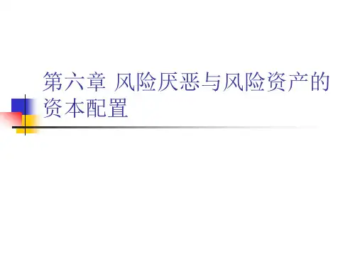 第六章 风险厌恶与风险资产的
