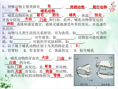 《动物的运动》ppt完美课件