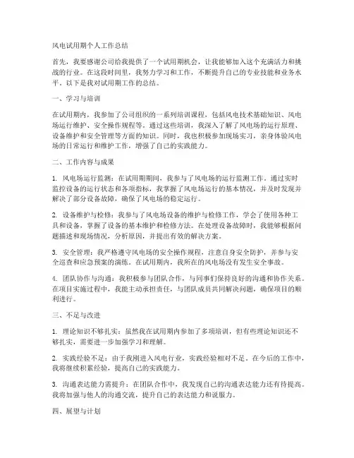 风电试用期个人工作总结