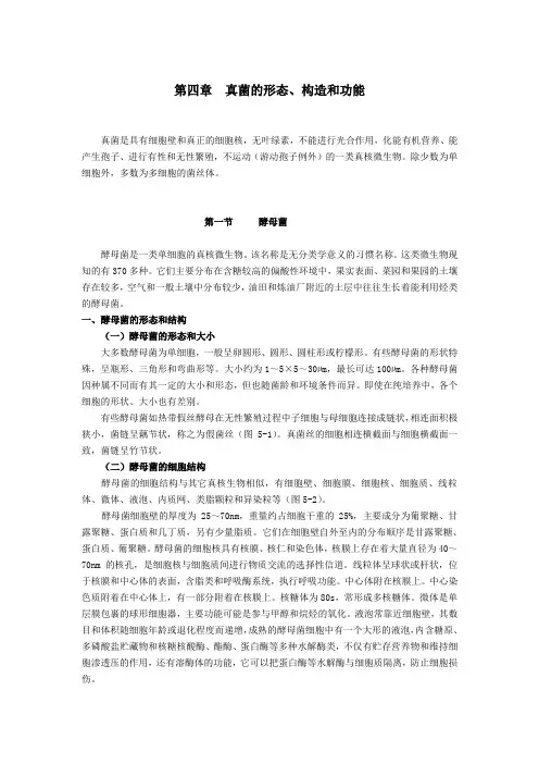 水产微生物—真菌的形态、构造和功能