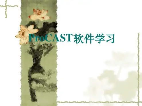 ProCAST学习操作教程