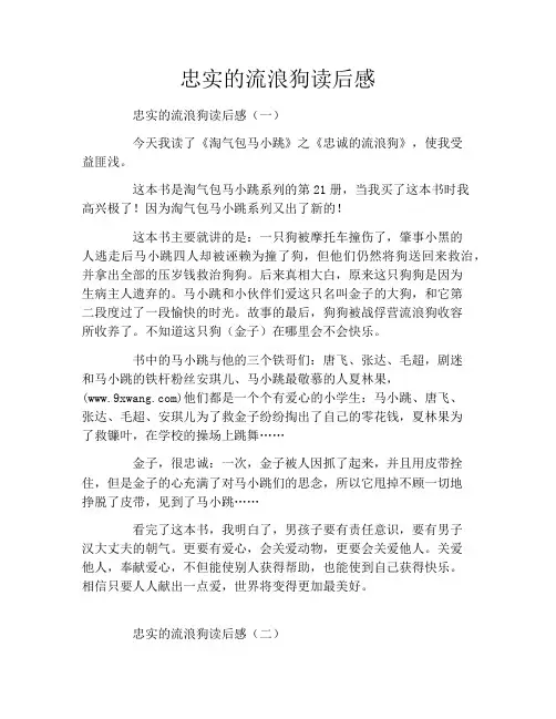 忠实的流浪狗读后感