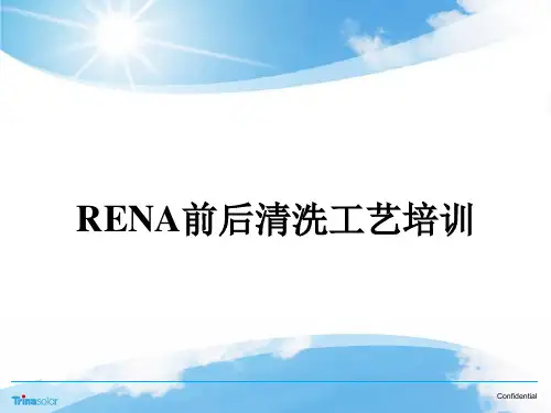 Rena_前后清洗工艺培训