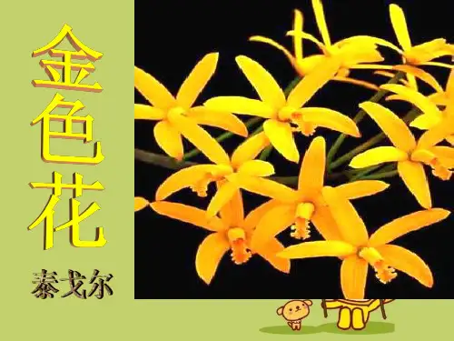 《诗两首-金色花》4精品 课件 