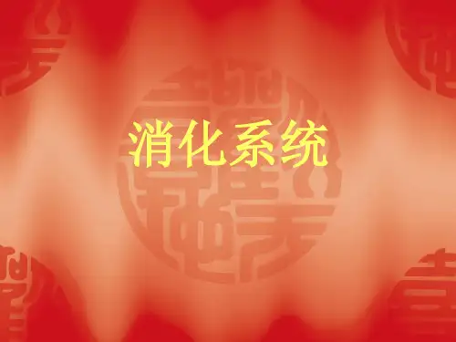 胃肠道疾病的X线诊断
