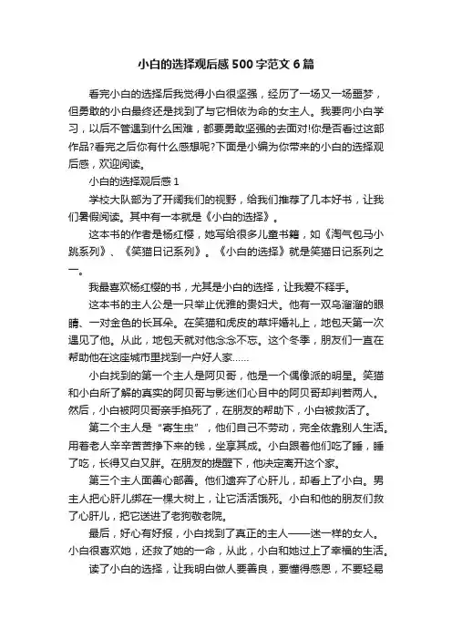 小白的选择观后感500字范文6篇