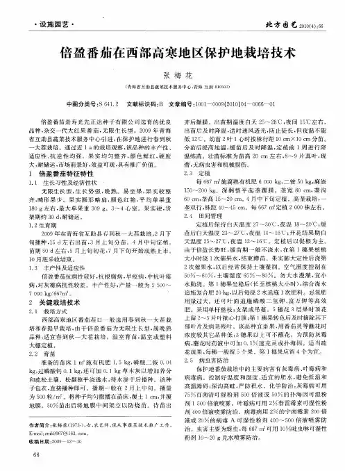 倍盈番茄在西部高寒地区保护地栽培技术