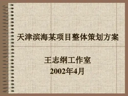 天津滨海某项目整体策划方案.pptx