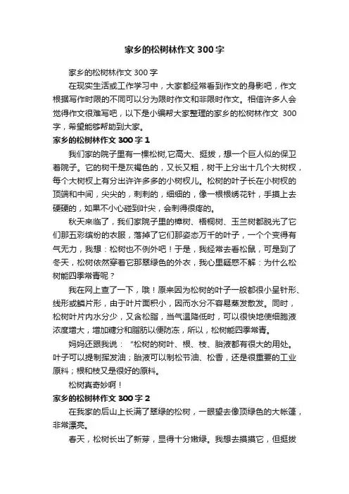 家乡的松树林作文300字