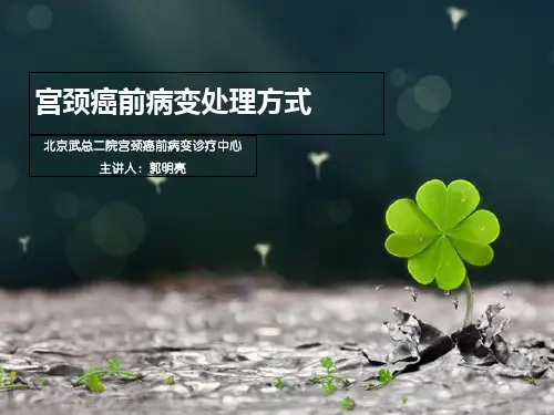 宫颈癌前病变处理方式图文优选PPT