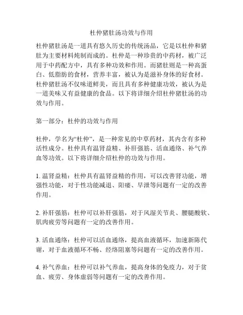 杜仲猪肚汤功效与作用