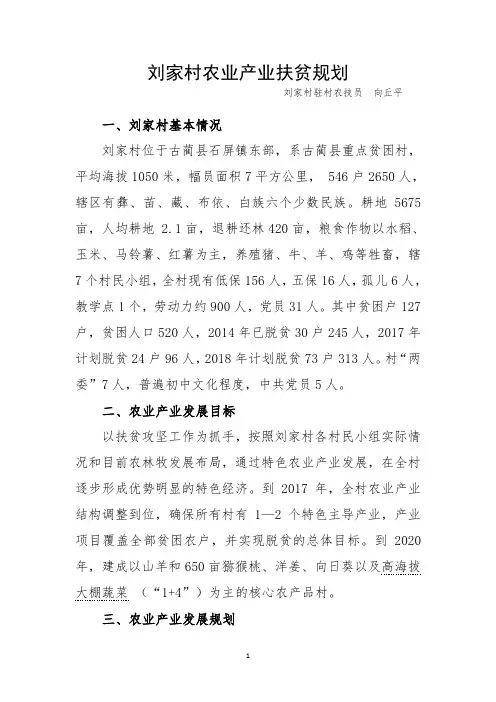 刘家村农业产业扶贫规划