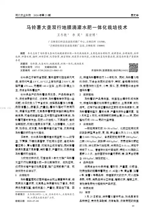 马铃薯大垄双行地膜滴灌水肥一体化栽培技术