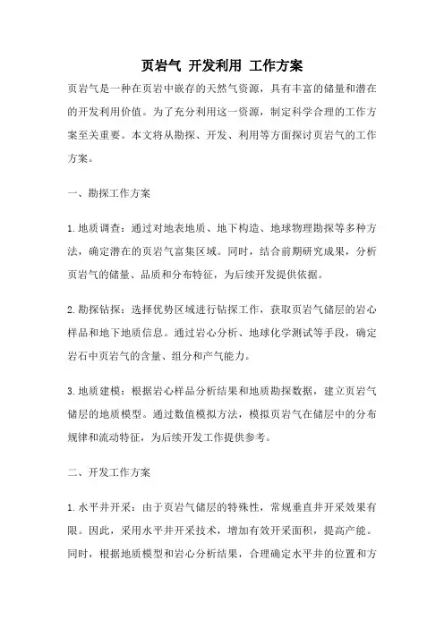 页岩气 开发利用 工作方案