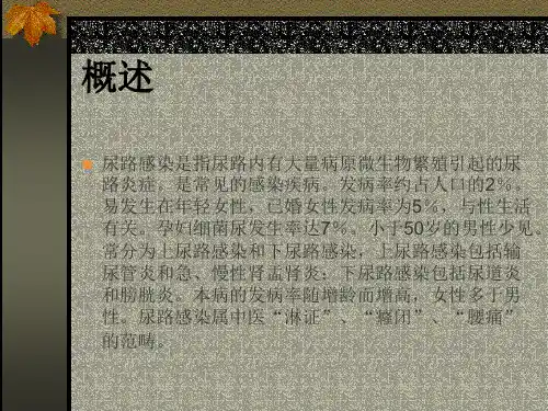 医学专题尿路感染的中西医诊疗规范